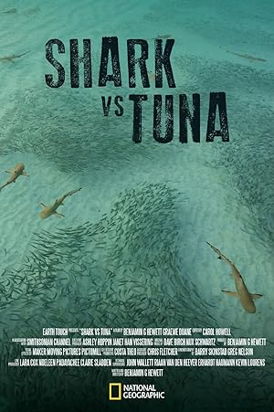 Shark vs Tuna