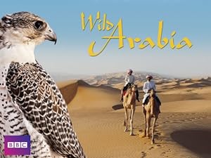 Wild Arabia