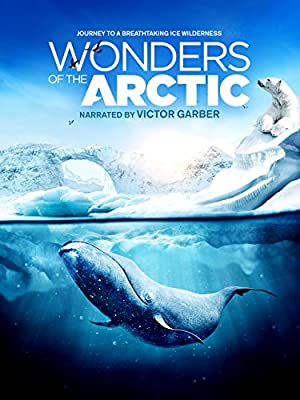 Wonders of the Arctic 3D