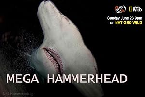 Mega Hammerhead